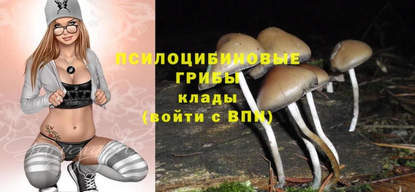 меф Каменка