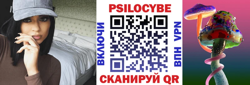 Галлюциногенные грибы Magic Shrooms  купить   Новомосковск 